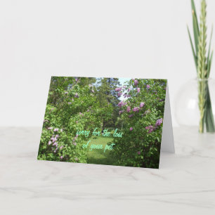 Pet Sympathy-lilac Bush Card