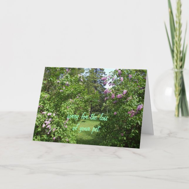 Pet Sympathy-lilac Bush Card (Front)