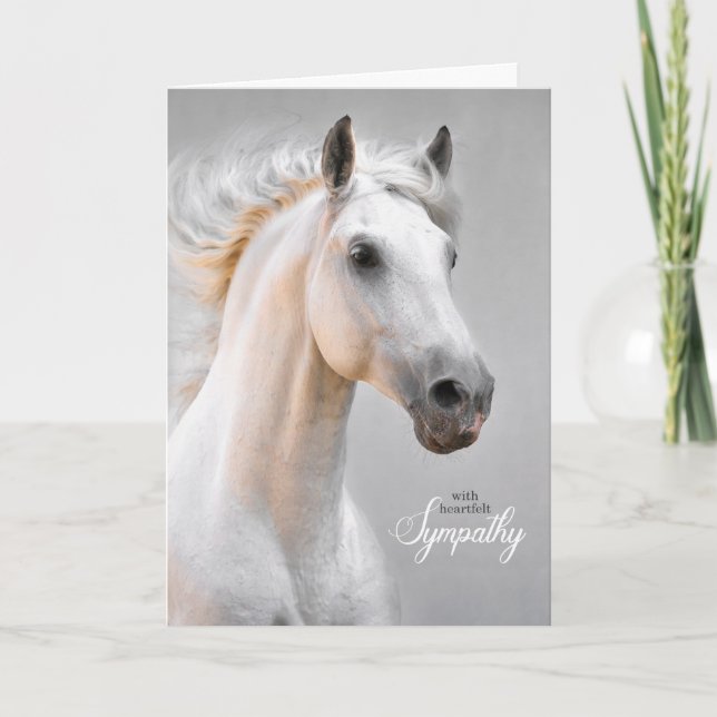Pet Sympathy Loss of a Horse White Horse Card (Front)