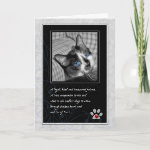 Pet Sympathy Loss of Cat - Calico Card