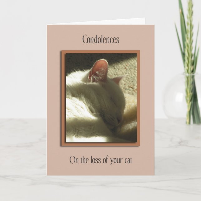 Pet Sympathy Loss of Cat Card (Front)