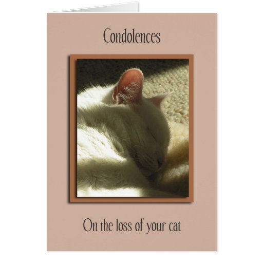 Pet Sympathy Loss of Cat Card | Zazzle