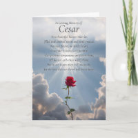 Pet Sympathy Loss of Cat Dog Horse or Any Animal