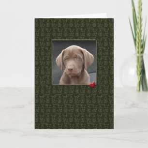 Pet Sympathy Loss of Dog Cards