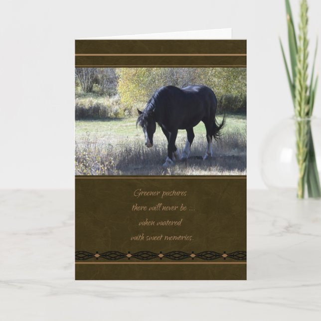 Pet Sympathy Loss of Horse Card (Front)