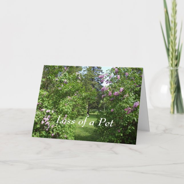 Pet Sympathy-Lovely Lilac Bush Card (Front)