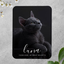 Pet Sympathy Memorial Tribute Remembrance