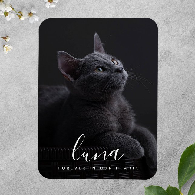 Pet Sympathy Memorial Tribute Remembrance Magnet (Photo Memorial Magnet)