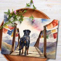 Pet Sympathy Personalised Photo pet Loss Card