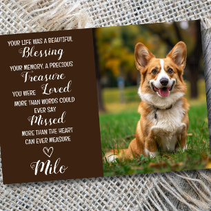 Pet Sympathy Personalized Photo Pet Loss Card