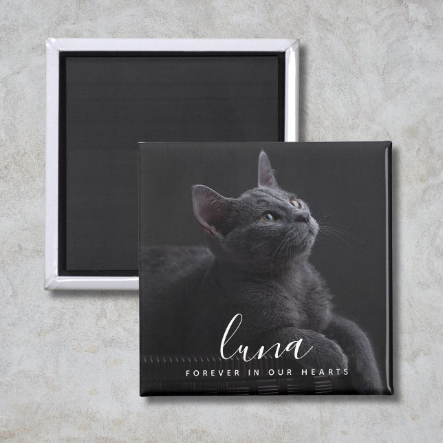 Pet Sympathy Photo Memorial Tribute  Magnet (Custom Pet Photo Memorial)