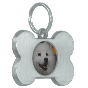 Pet Tag - Customised