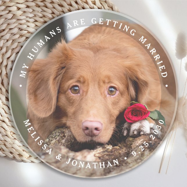 Pet Wedding Personalised Dog Photo Engagement Coaster (Creator Uploaded)