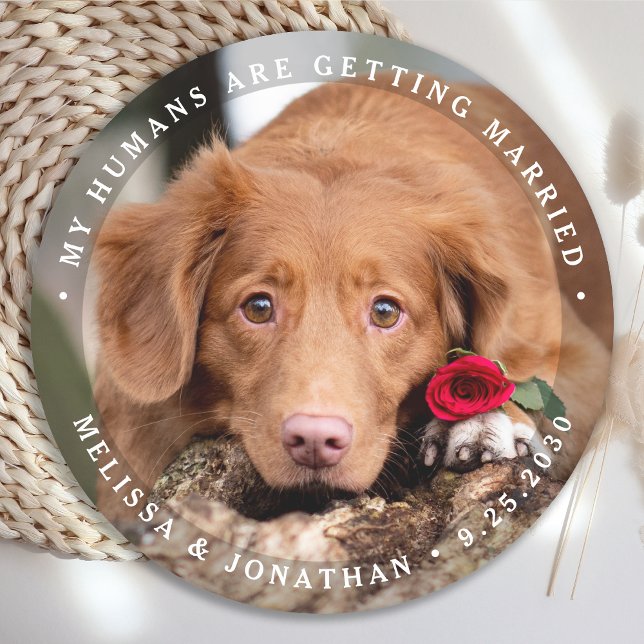 Pet Wedding Personalised Dog Photo Engagement Round Paper Coaster (Creator Uploaded)