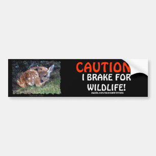 PET  & WILDLIFE PROTECTION Deer Bumper Stickers