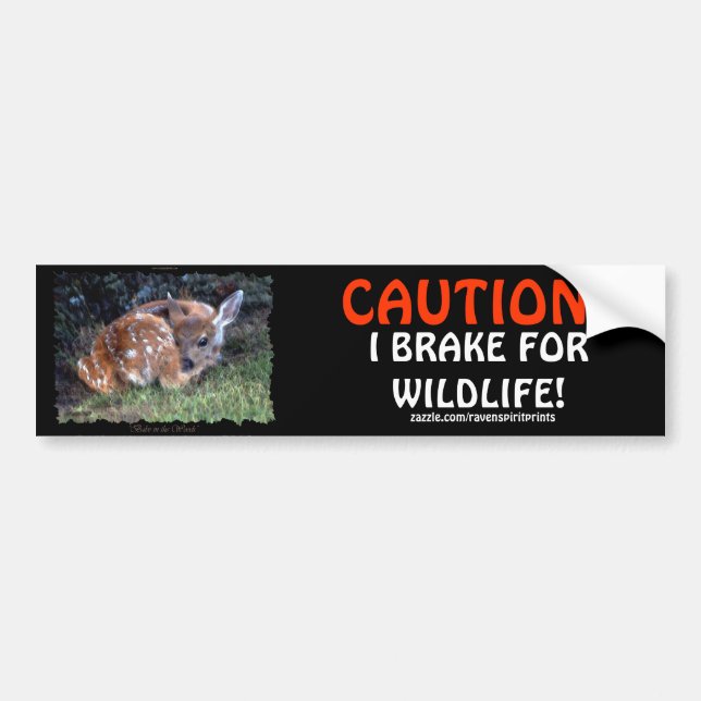 PET  & WILDLIFE PROTECTION Deer Bumper Stickers (Front)