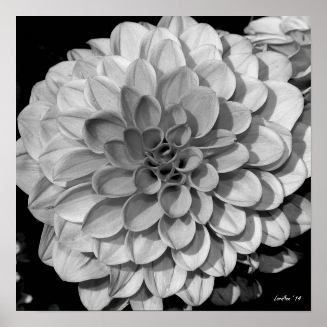 Petal Pattern Poster (Front)