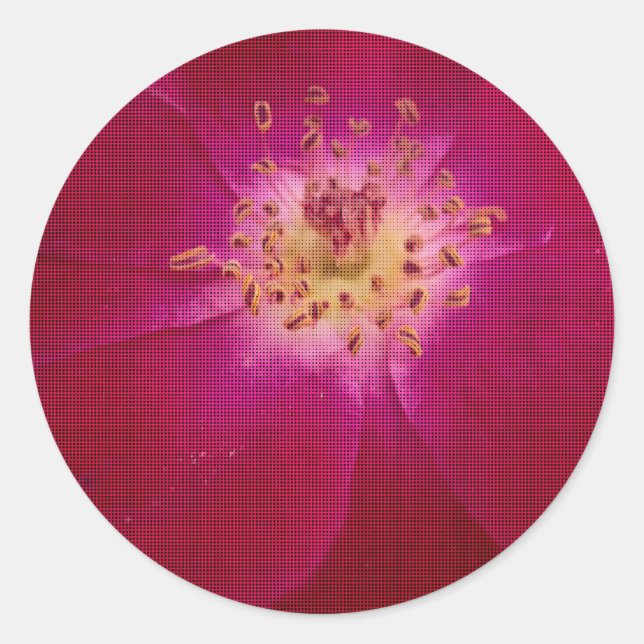 Petal Perfection: Chequered Rose Petal Pattern Art Classic Round Sticker (Front)