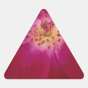Petal Perfection: Chequered Rose Petal Pattern Art Triangle Sticker