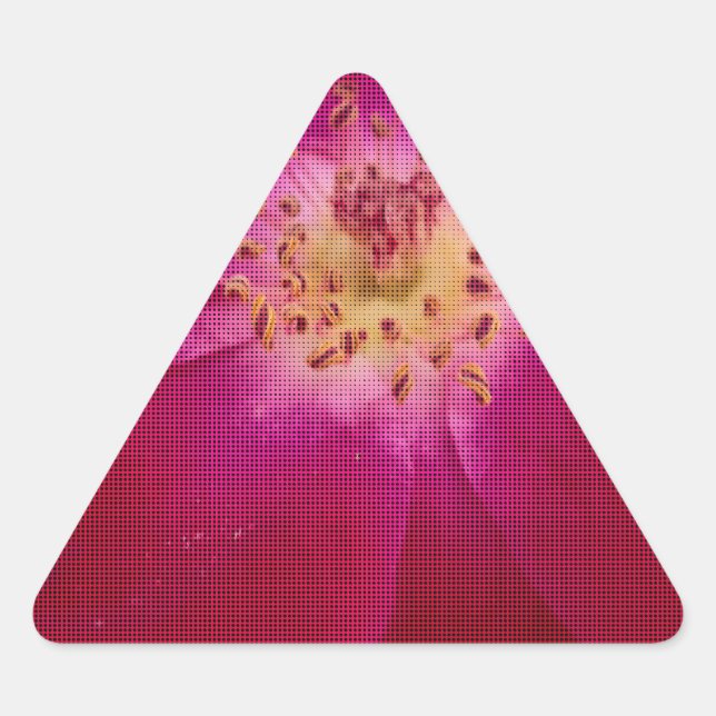Petal Perfection: Chequered Rose Petal Pattern Art Triangle Sticker (Front)
