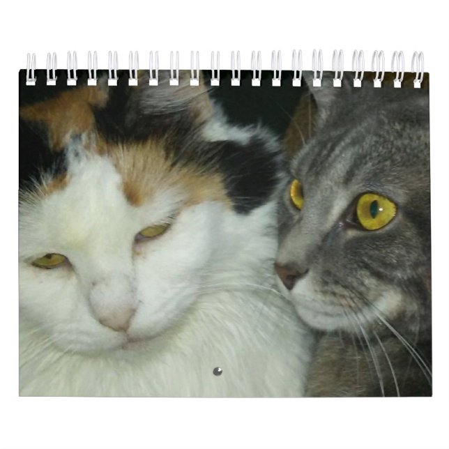 Petals and Feather Calendar (Cover)