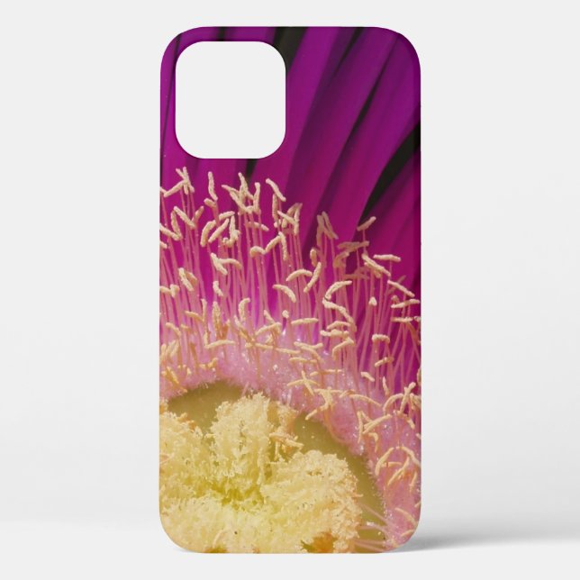 Petals and Pollen Case-Mate iPhone Case (Back)