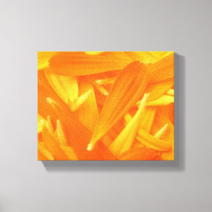 Petals Canvas Print