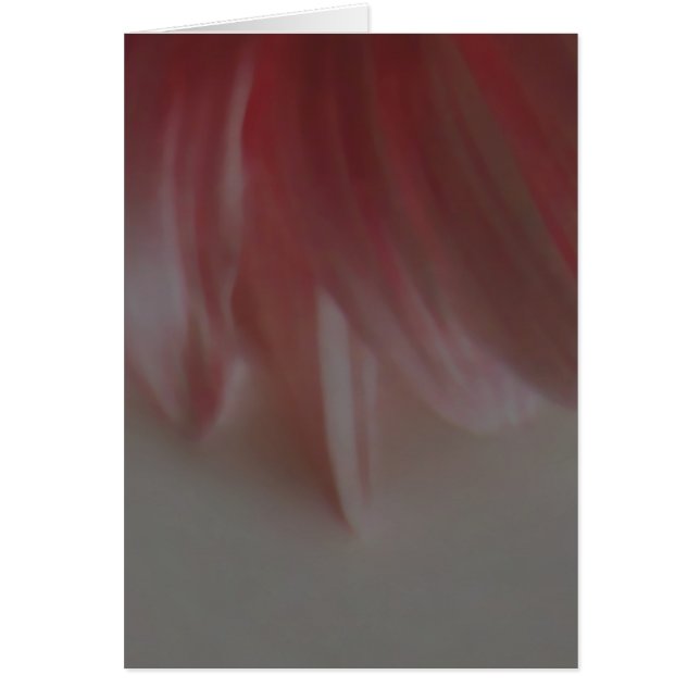 Petals ~ Card / Invitations (Front)