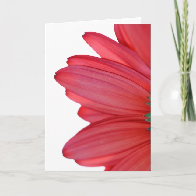 Petals from heaven card (Front)