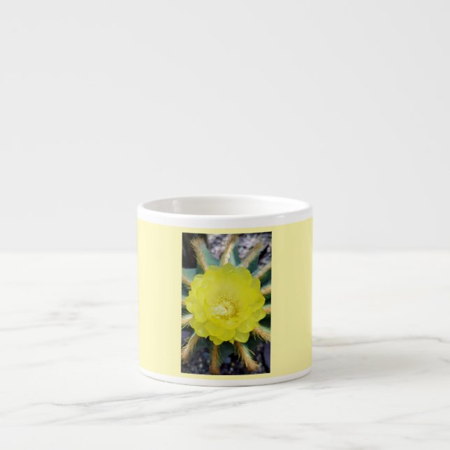 petals - golden ball cactus espresso cup (Front)