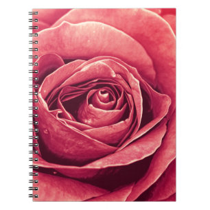 Petals of A Rose Notebook