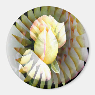 Petals of Peace...... Magnet