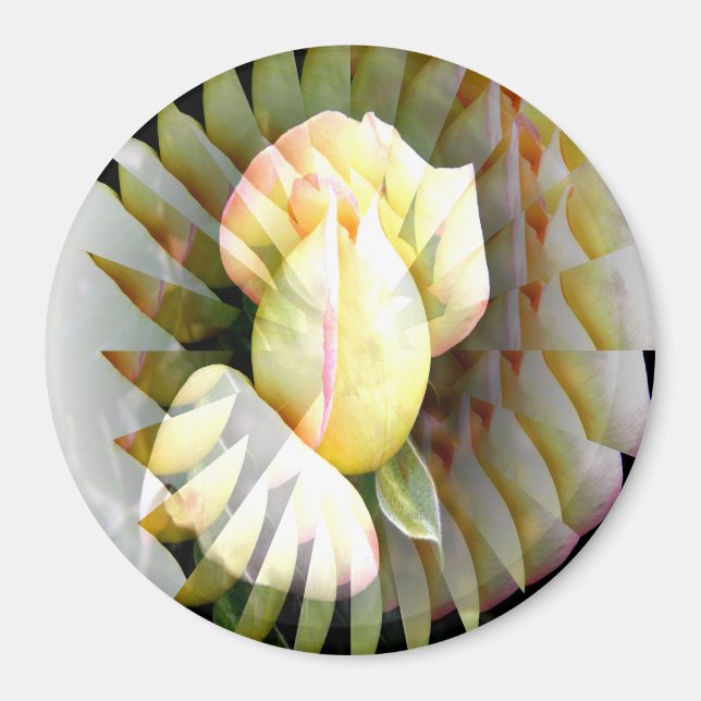 Petals of Peace...... Magnet (Front)