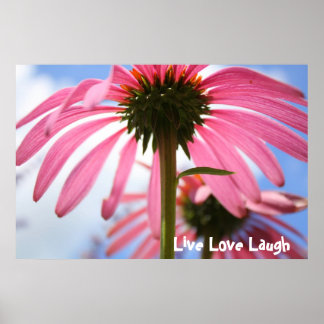 Petals of Pink Poster