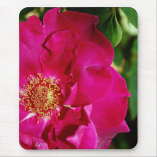 Petals of Summer Mousepad