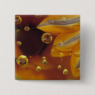 Petals on Mylar reflective surface with drops. 15 Cm Square Badge