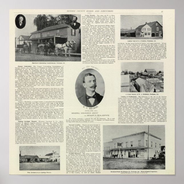 Petaluma businesses, California Poster (Front)