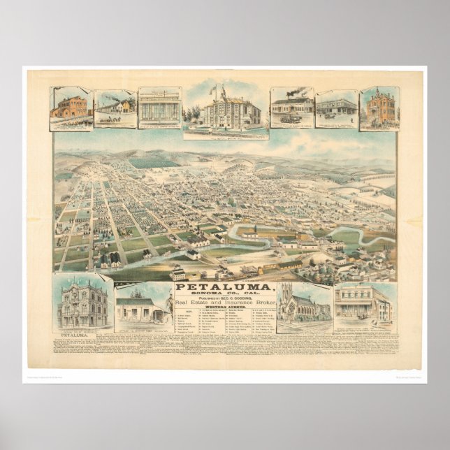 Petaluma, CA. (1314A) Poster (Front)