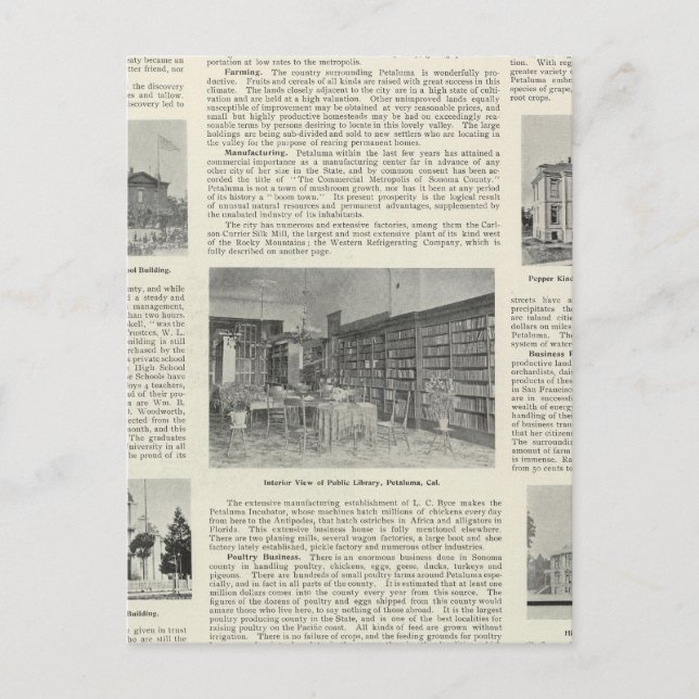 Petaluma, California Postcard (Front)