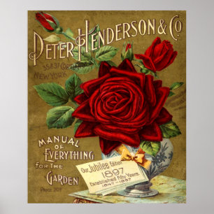 Peter Henderson & Co. Garden Catalogue Ad Poster
