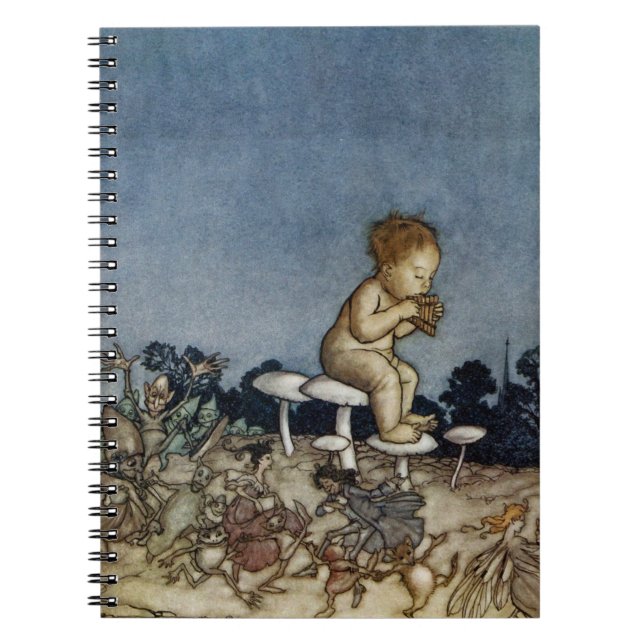 Peter Played His Flute Notebook (Front)