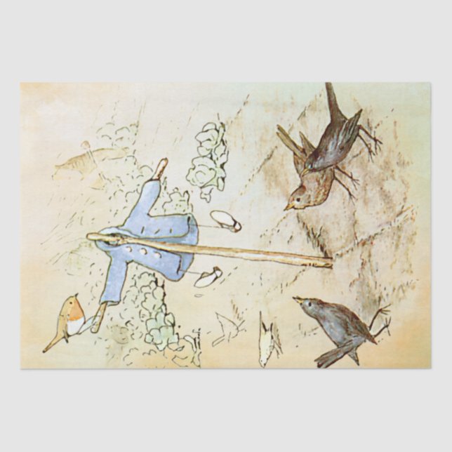 Peter Rabbit 5 Tissue Paper (Front)