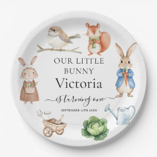 Peter Rabbit Animals Garden Tools Birthday Party Paper Plate