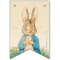 Peter Rabbit | Boy Baby Shower