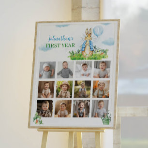 Peter Rabbit Boy Birthday Photo Milestone Sign