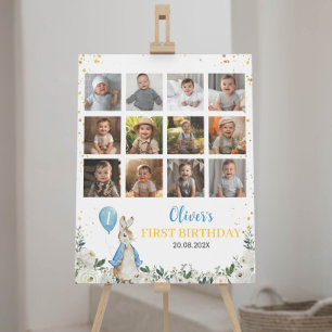 Peter Rabbit Boy Birthday Photo Milestone Sign