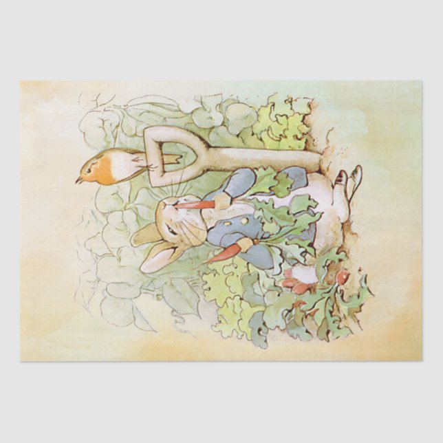 Peter Rabbit (carrot) Tissue Paper (Front)