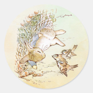 Peter Rabbit with Birds  Classic Round Sticker