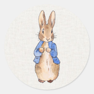 Peter Rabbit with Linen Background   Classic Round Sticker