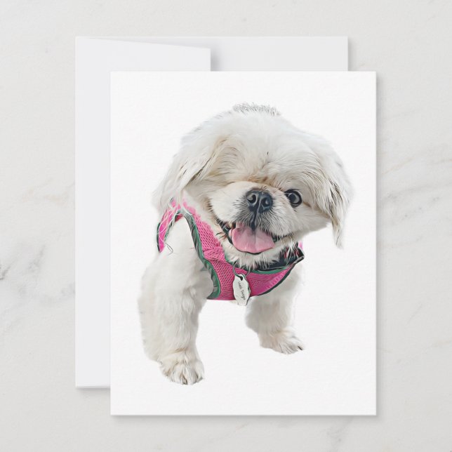 Peter Rottentail Note Cards (Front)